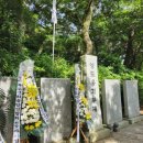 6.25참전동지 이미지