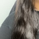 릴헤어살롱 | 로블루 미열발생 탈모트리트먼트 사용후기