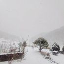 베스트하우스 | 눈 내리는 아침, 커피향으로 마음을 정돈하다 – 베러베스트 하우스 블렌드 원두 후기