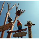 오-월드 이미지