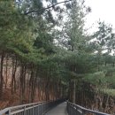 순흥안씨양도공파묘군 이미지