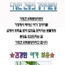 Lovely아지 | 강릉강아지입양 후기가 좋은곳 말티푸