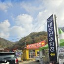 내장산국립공원화장실(제1주차장) | 내장산 단풍 실시간 단풍절정시기는 바로 지금이에요! (케이블카,셔틀후기)