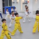 한라태권도 본관 3수련관 이미지