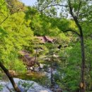 청태산목장 | 여름에 방문하기 좋은 자연휴양림 추천 TOP 3