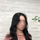 디탐 이미지