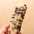 또맛나요 이미지