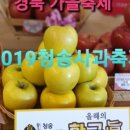 2019 청송사과축제 백일장 | 경북 가을축제 2019청송사과축제 다녀온 후기 (2019 청송여행 블로그 공모전 장려)