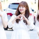 이쁘댕 이미지