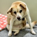 뚱이이모 이미지