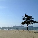어은돌갈대숲 네이버블로그