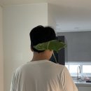 남자의청춘(영등점) | 127-220