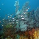 멀리 제주 이미지