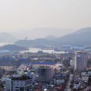 군복공설시장 | 진해 벚꽃 실시간, 2026 진해 군항제 기본정보 그리고 가볼만한 곳
