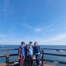 창신대학교 | 창신대학교 부동산경영학과 창신산우회 2025년 11월 경주 감포 문무왕릉 바다살기기 정화활동 캠페인 후기