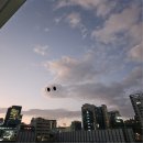 (주)양미옥 이미지