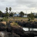 선비약국 | 제주 서귀포 12월 오전 방어 지깅 낚시 : 해영호 / 제주후크, 멀미약 노량