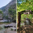 용추관광안내소 | 그대로 모습이 살아있는 주왕산의 속살… 절골탐방분소~가메봉~내원마을터~용연·용추폭포~상의탐방센터