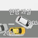 과실온 이미지