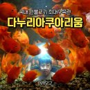 남한강낚시 | [단양 가볼만한곳] 국내 최대 민물고기 수족관, 다누리 아쿠아리움 생생 후기 할인정보