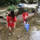 기성계곡 이미지