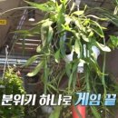 쌀국수공방 이미지