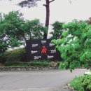 라고비스타 이미지