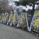 생후 42일 아들 학대 살해하고 유기한 30대 친부 징역 13년 이미지