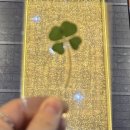 GS25지현점 | 25년11월.1