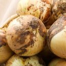 재용농장 이미지