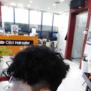 쎄씨미용실 이미지