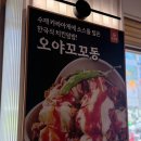 오마이갓돈까스 | [공지] [지족동 돈까스] 배부르고 맛있게 먹을 수 있는 돈까스 맛집은? 바로 갓지동 노은 지족점!!