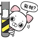 고운얼굴 이미지