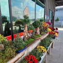 만남의광장(동곡) 이미지