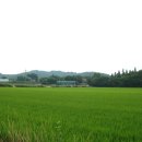 안성천 쉼터 이미지