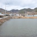 나무적산