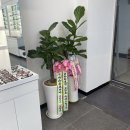 으뜸50 안경 양산물금점 이미지