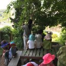 새자연어린이집 이미지