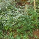 선암사 성보박물관(휴관) 이미지