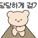수내튼튼약국 네이버블로그
