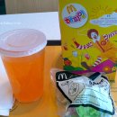 펫인샵(PET IN SHOP) 이미지