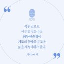 큐티하랑 이미지