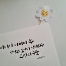 플라워캘리