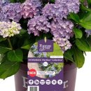 (주)벅스박스 이미지