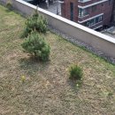 왕솔농장 | 2024년 4월, 우리의 일상.