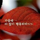 금요일 인사말 / 가을 인사말 이미지 이미지