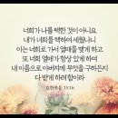 [NIV MDS 9-16-3] 요한복음 15장 16절 이미지