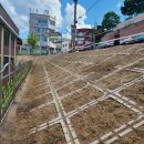 가수원초교 이미지