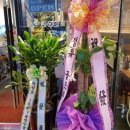 돈스닭스 이미지