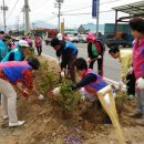 오산3리(겨르메기) 이미지